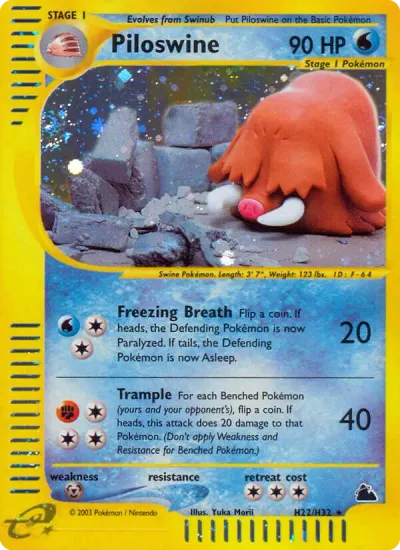 Piloswine, Skyridge 2003